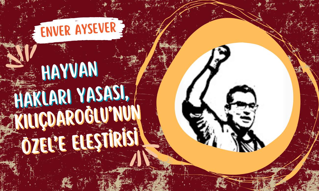 Enver Aysever | 24 Temmuz 2024 | Hayvan hakları yasası, Kılıçdaroğlu'nun Özel'e eleştirisi