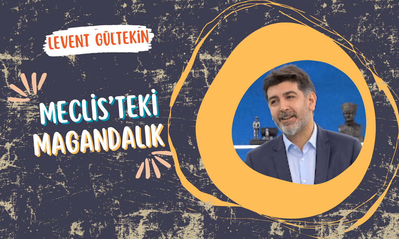 Levent Gültekin | 26 Temmuz 2024 | Meclis'teki magandalık